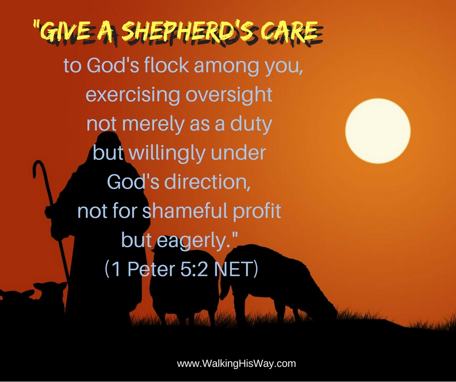 dec-16-1ped-5-2-shepherds-care